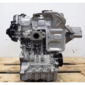 Seat Leon III1.0 TSI, Volkswagen Golf VII 1.0 TSI CHZ motor