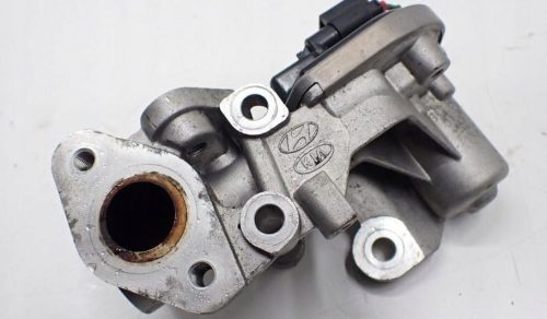 Hyundai i10 (AC3/AI3) 1.0 MPI G3LD EGR szelep 2845007000